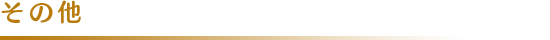 その他