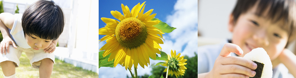 明るい社会の賢い消費者へ　私たちがサポートします NPO法人 親子消費者教育サポートセンター